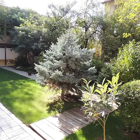 Fantasy And Avenue комплекс фантазия Chisarja